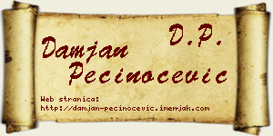Damjan Pečinoćević vizit kartica